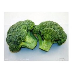 西兰花提取物Broccoli Extract Powder