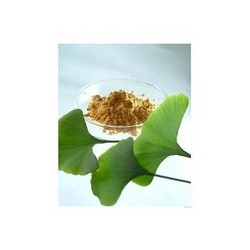 銀杏提取物Ginkgo Biloba Extract Powder