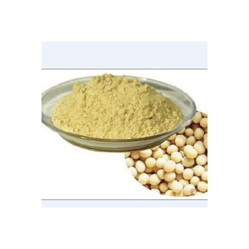大豆提取物Soybean Extract Powder
