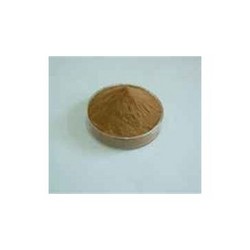 穿心蓮提取物Andrographis Paniculata Extract Powder