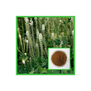 黑升麻提取物Black Cohosh Extract Powder