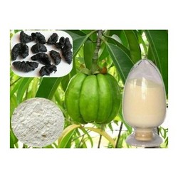 藤黄果提取物Garcinia Cambogia Extract Powder