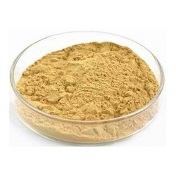 绞股蓝提取物Gynostemma Pentaphyllum Extract Powder