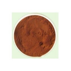 酸枣仁提取物Jujuba Extract Powder