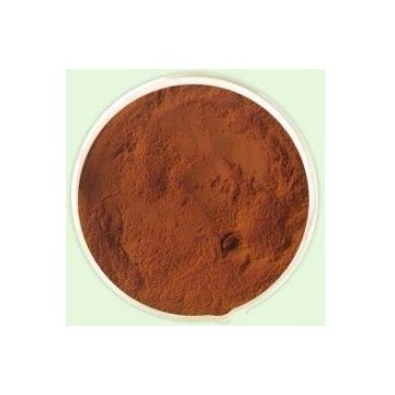 酸枣仁提取物Jujuba Extract Powder