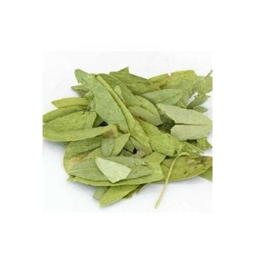 番瀉葉提取物Senna Leaf Extract Powder