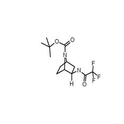 N-(exo-7-Boc-7-azabicyclo[2.2.1]heptan-2-yl) trifluoroacetamide