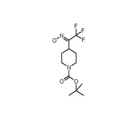 tert-butyl 4-(2,2,2-trifluoro-1-(hydroxyimino)ethyl)piperidine-1-carboxylate