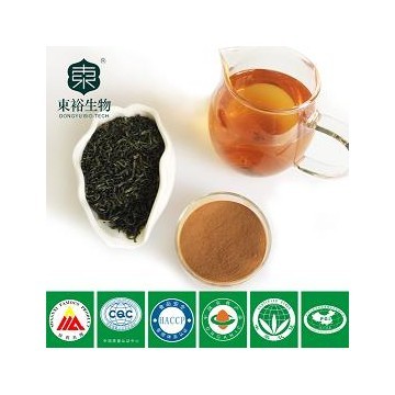 茶多酚95% EGCG45%