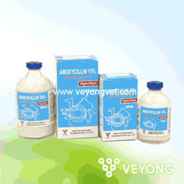 15%阿莫西林注射液