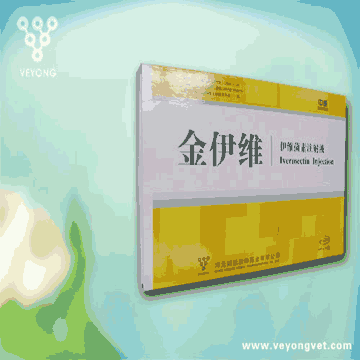 金伊维