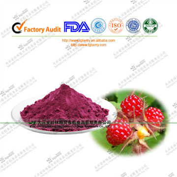 厂家直供 天然果粉 红树莓果粉