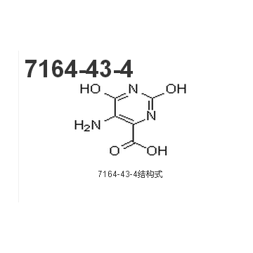 5-aminoorotic acid/7164-43-4
