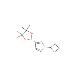1-环丁基-4-（四甲基-1,3,2-二氧硼杂环戊烷-2-基）-1H-吡唑