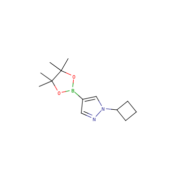 1-环丁基-4-（四甲基-1,3,2-二氧硼杂环戊烷-2-基）-1H-吡唑