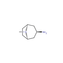 内-8-甲基-3-氨基氮杂双环[3.2.1]辛烷