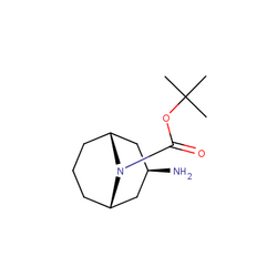 外向-3-氨基-9-boc-9-氮杂双环[3.3.1]壬烷