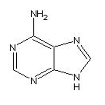 腺嘌呤 （6-氨基嘌呤）
