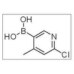 (6-氯-4-甲基吡啶-3-基）硼酸