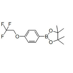 4-（2,2,2-三氟乙氧基）苯硼酸
