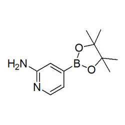 2-氨基吡啶-4-硼酸频哪酯