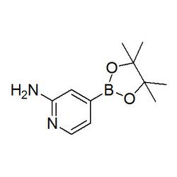 2-氨基吡啶-4-硼酸頻哪酯