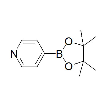 4-吡啶硼酸频哪醇酯
