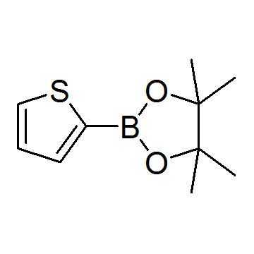 噻吩-2-硼酸频哪醇酯