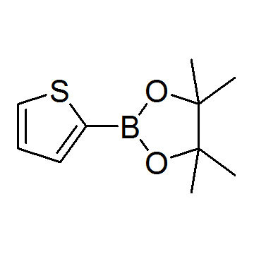 噻吩-2-硼酸频哪醇酯