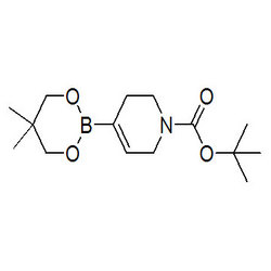 3.6-二氢-2H-吡啶-1-叔丁氧羰基-4-硼酸新戊二醇酯