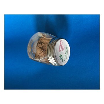 肉苁蓉提取物松果菊苷