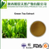 綠茶提取物