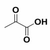 丙酮酸