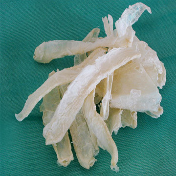 羧化壳聚糖