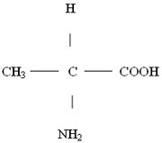 L-丙氨酸(工业)