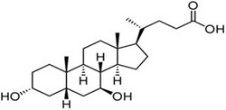 熊去氧胆酸