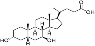 熊去氧胆酸
