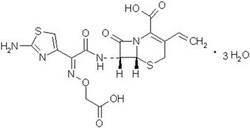 頭孢克肟 >>詳細(xì)