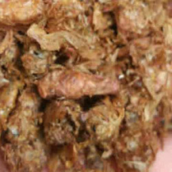 廠(chǎng)家現貨供應雄蠶蛾提取物