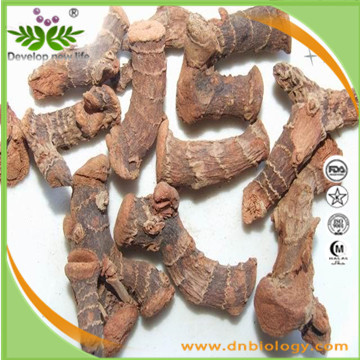 高良姜提取物