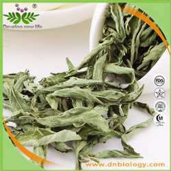 甜叶菊提取物