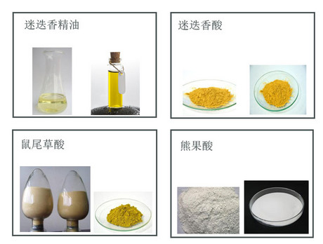 迷迭香提取物