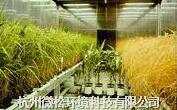 人工气候室