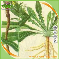 板藍根提取物