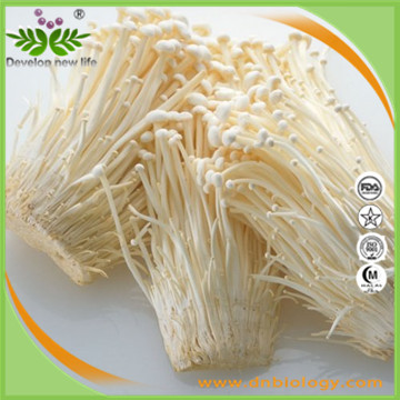 金针菇提取物