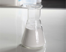 核糖核酸酶 ribonuclease