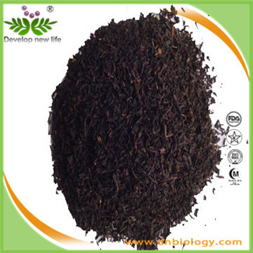 红茶提取物