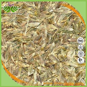 小茴香提取物