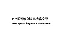 2BV系列液(水)环式真空泵