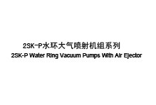 (2SK-P) 水环大气喷射机组